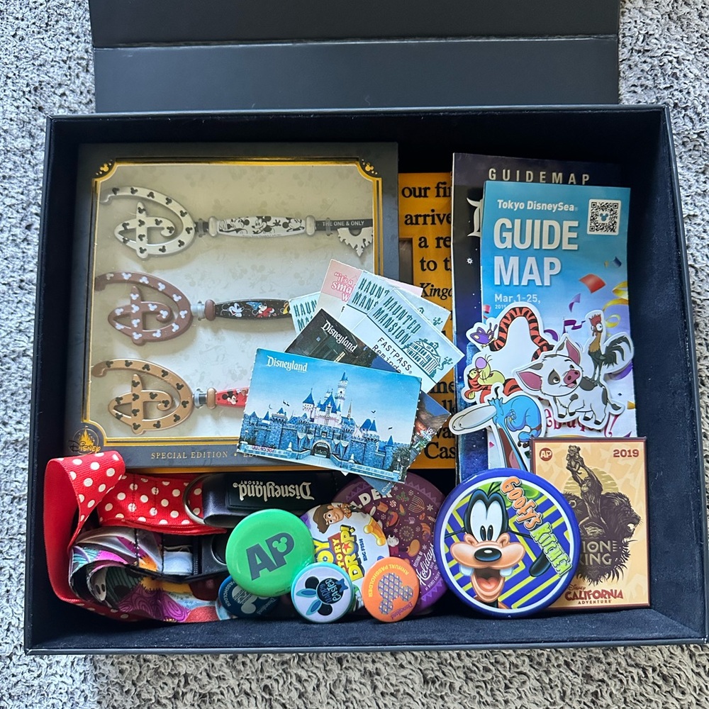 Disney Mystery Box - Disneyland Vintage Pins Buttons Park Maps Fast Pass